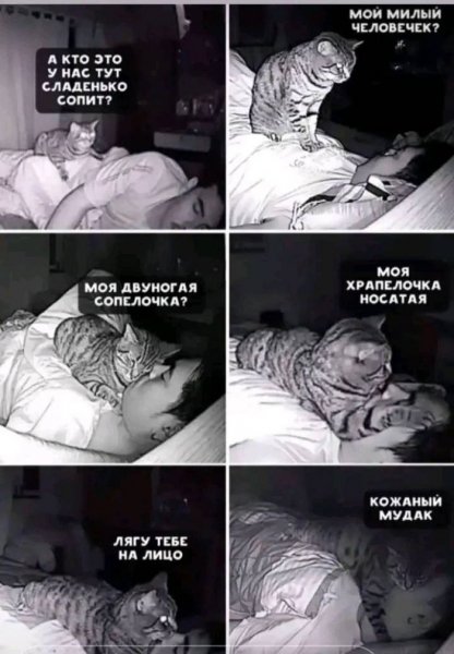 7dee9f6272 jumor-v-memah-ne-dlja-vseh-10