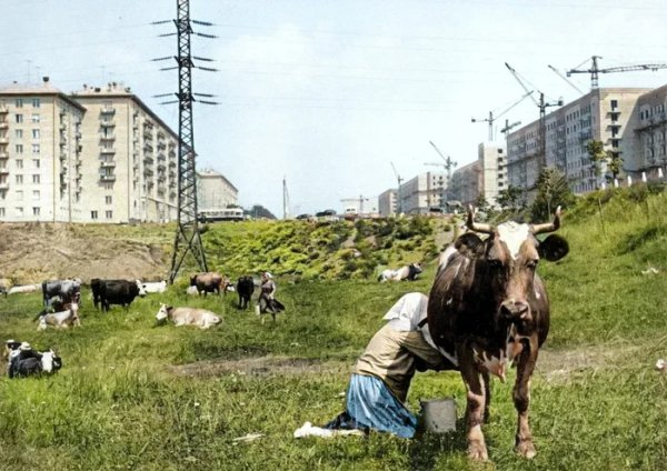 На Ленинском проспекте