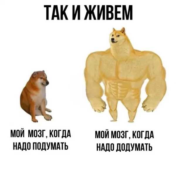 Podborka-smeshnyh-i-zabavnyh-memov-zarjadis-pozitivom-2