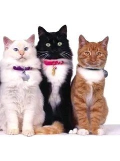 IMG 20250521 000051