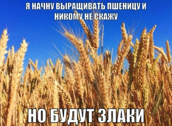 picture_389626629