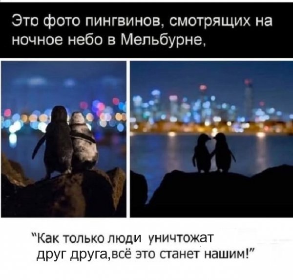 76f477cdd4 20055523