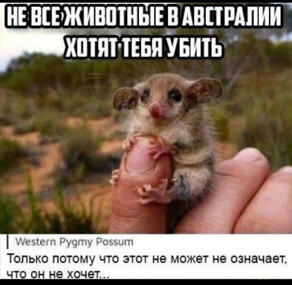 picture_389624842