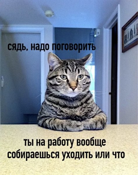 IMG 20250602 234957