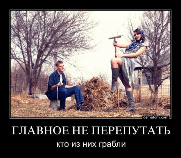 picture_373584465