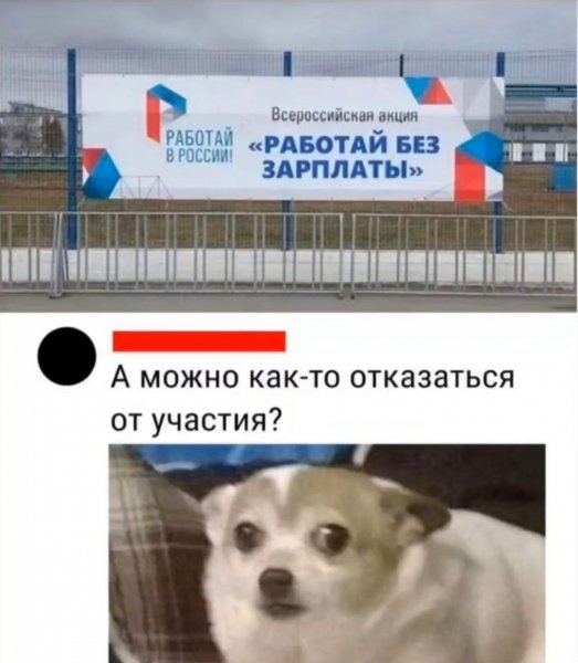 IMG 20250530 114901 123