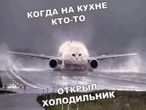 p.0.360.0