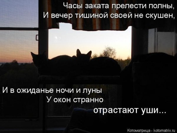Часы заката...