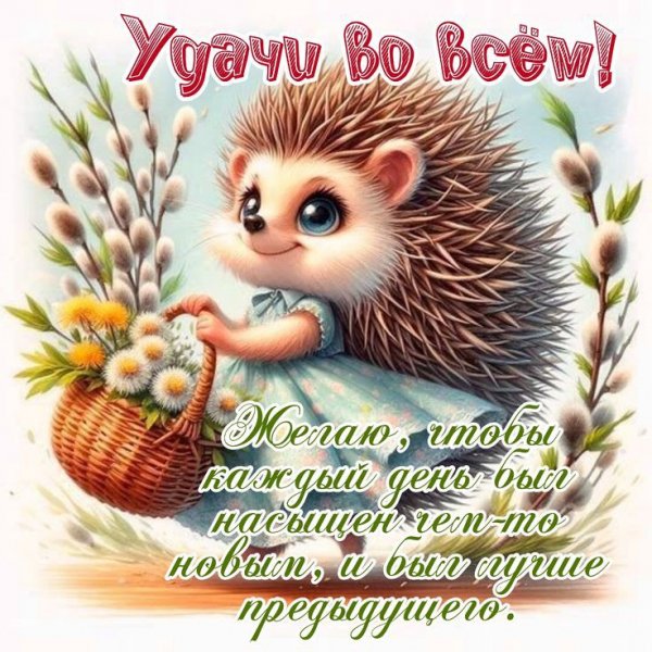 3efa74c6a231824d86a7ab38cd939be2