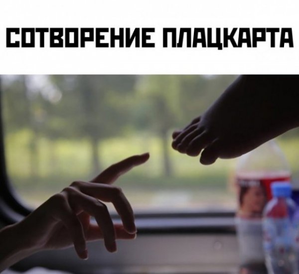 3acb4f0d8c 20039314
