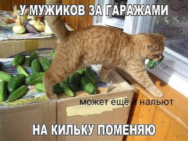 dde9 smeshnye-memy-s-chernym-jumorom-8