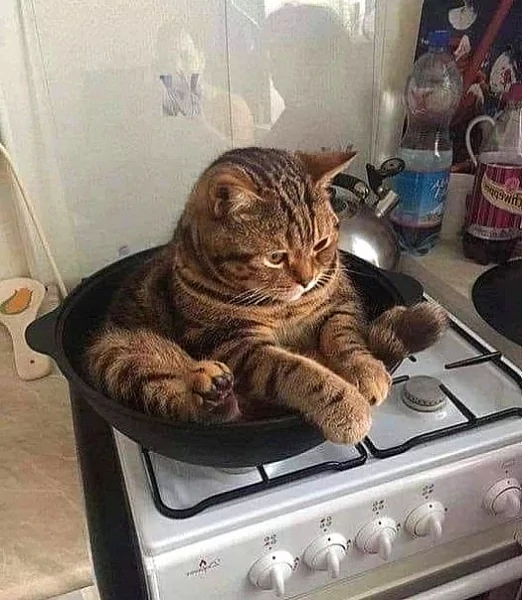 - Котлетка!!!