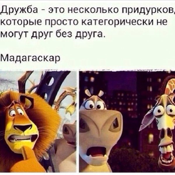 Дружба...