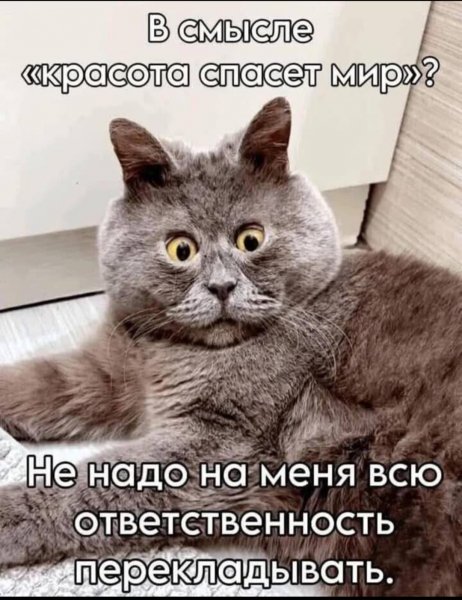 picture_389578428