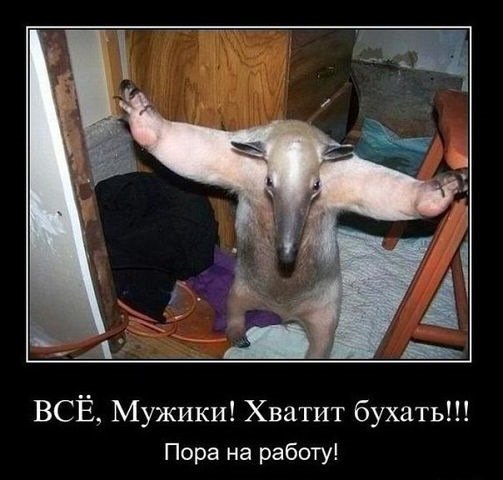 picture_373567592