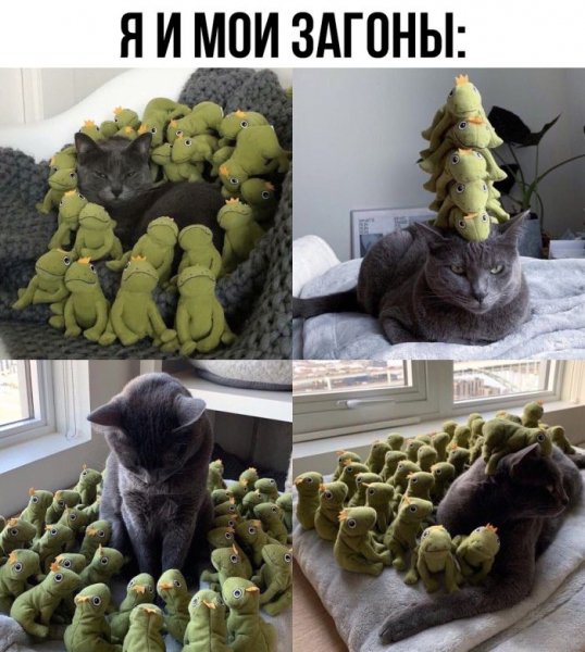 Novaja-podborka-smeshnyh-memov-i-prikolnyh-kommentariev-10