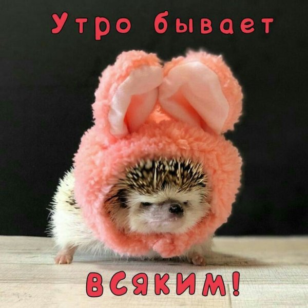 ae18d6284717ec37416191000d