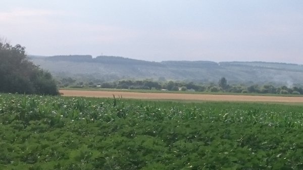DSC 1045