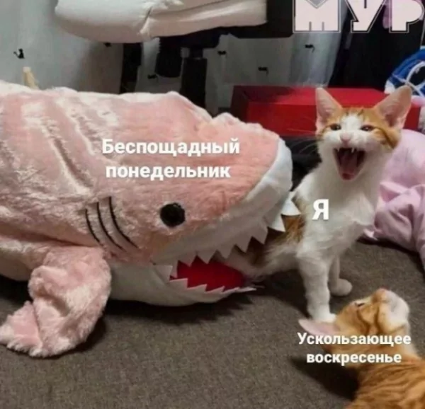 f7e6da 20039285
