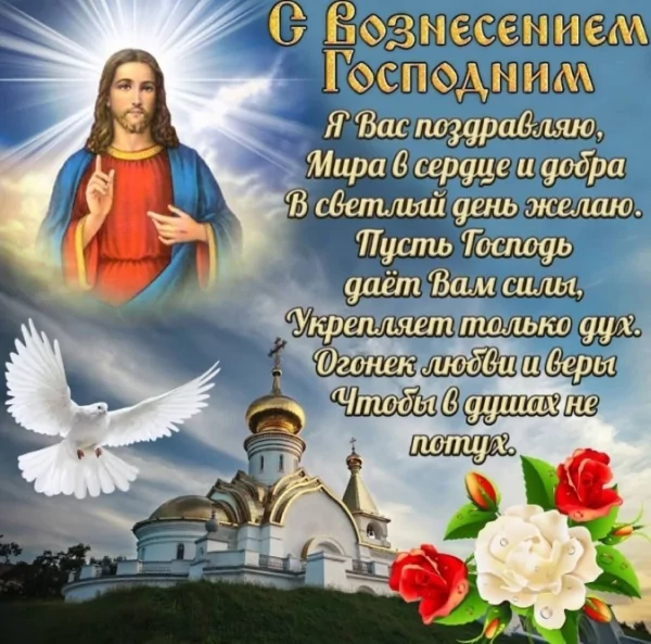 IMG-20250529-WA0000
