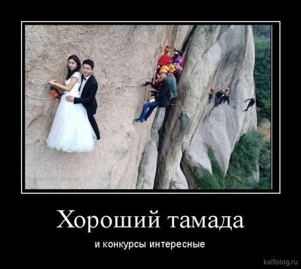 picture_373567803