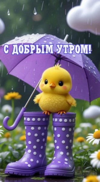 IMG-20250519-WA0002