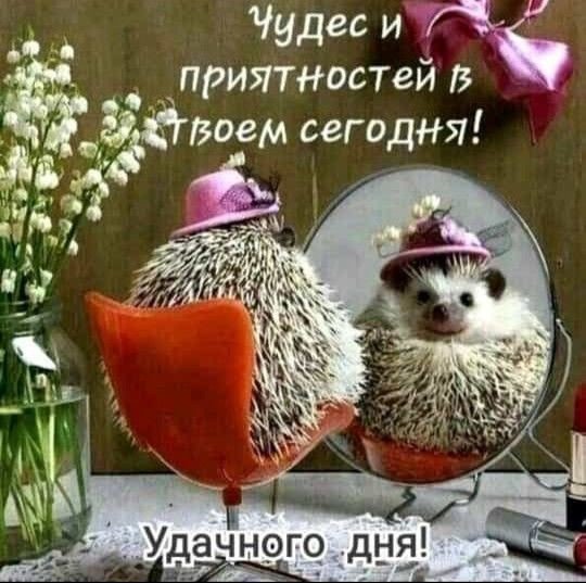 E88f5655097b8eca9063e3b5192da6ce