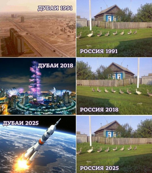 Гуси-это стабильность