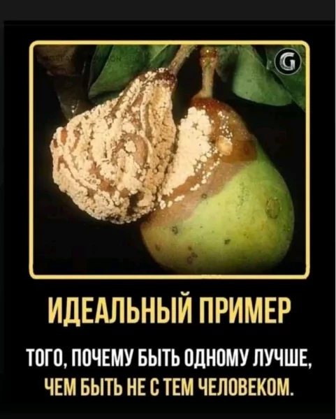 Npumep
