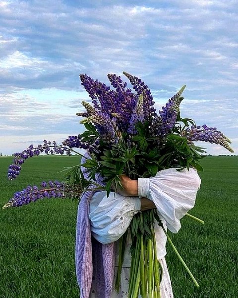 Любовь подобна полевым цветам!