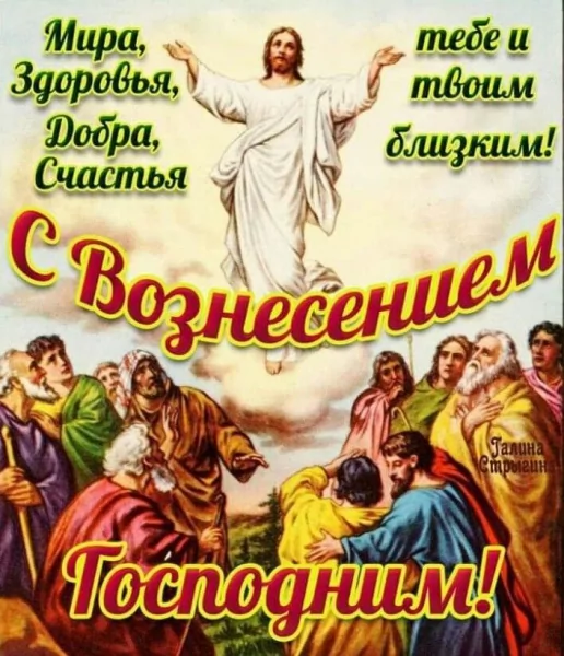 IMG-20250529-WA0002