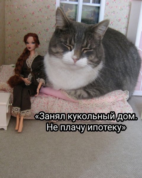 Da4320da61 jumor-v-memah-ne-dlja-vseh-9