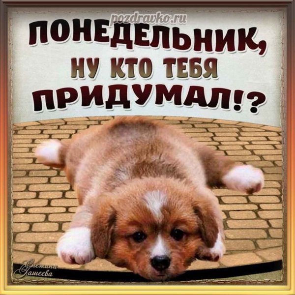 А?!