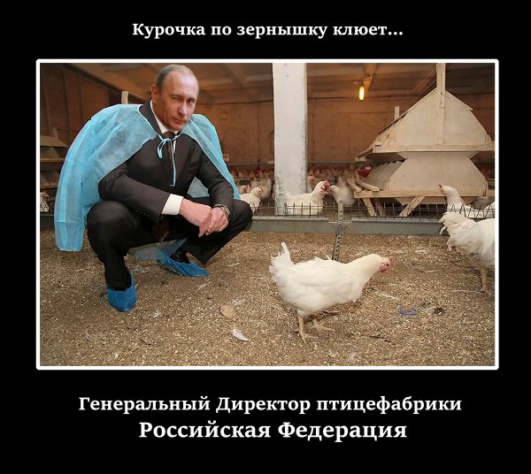 Генеральный директор
