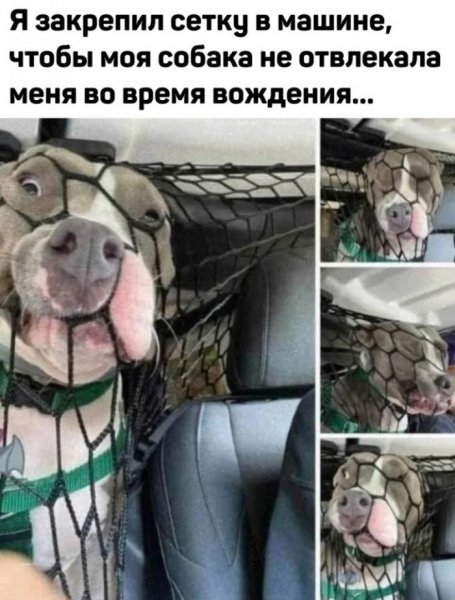 B6099191c7 jumor-v-memah-ne-dlja-vseh-8