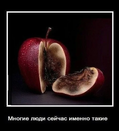 picture_388855411