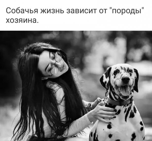 И это так!!!