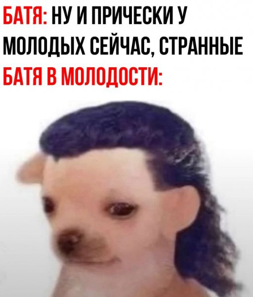 Podborka-smeshnyh-i-zabavnyh-memov-zarjadis-pozitivom-1