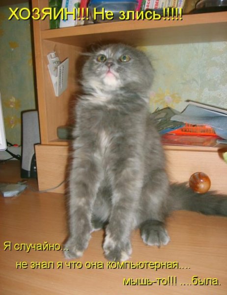 Я случайно