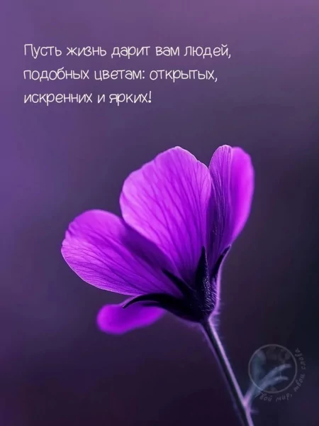 IK1nWQwrGBWBZM7HCDi4cgDLJ8Ek50l k7RUqv-JbU4eOOfQnxfZhbsGgbUc
