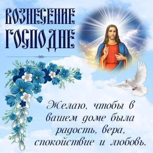 IMG-20250529-WA0003