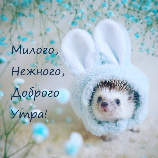 C1083771da69b4933a95839a7f7aa600
