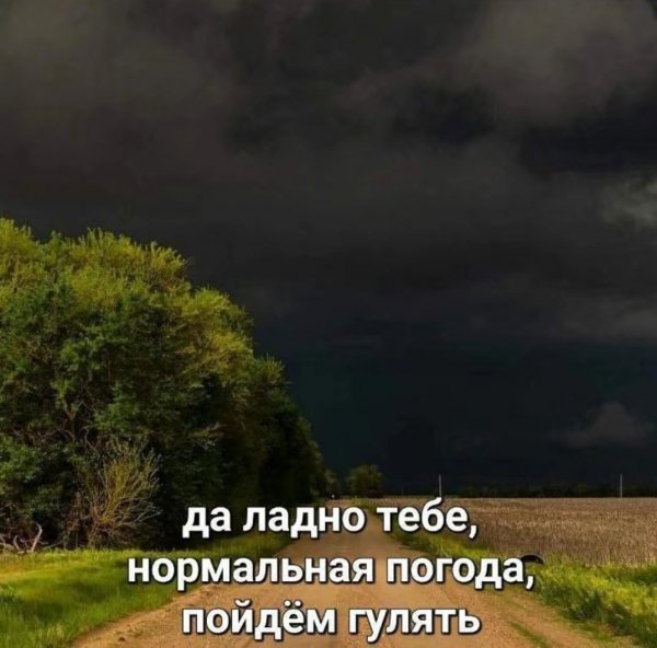 Polish 20250515 184315985