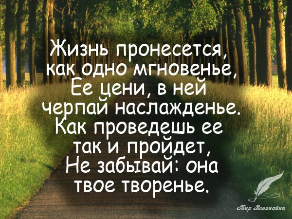 Жизнь...