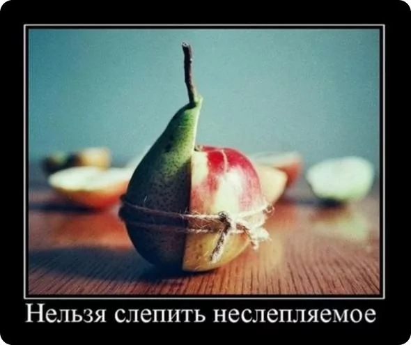picture_373567388