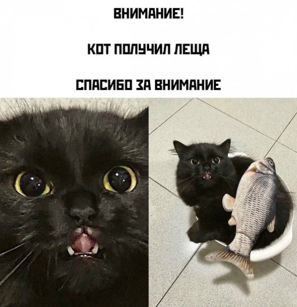 Внимание!