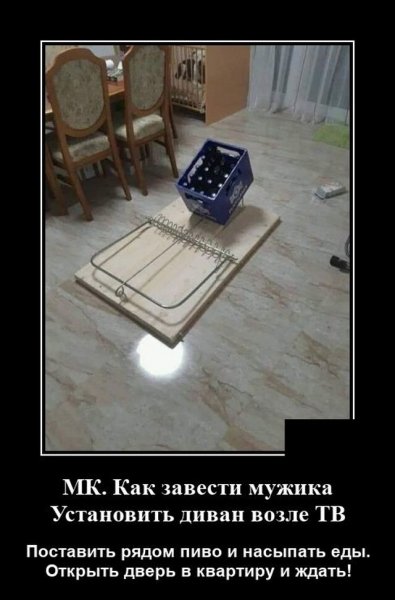 IMG 20250530 185204