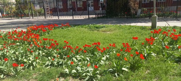 picture_389003656