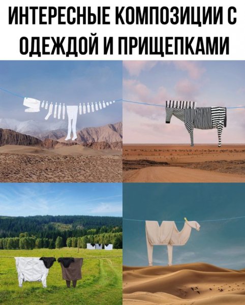 Sbornik-prikolnyh-kartinok-i-zabavnyh-kommentariev-2