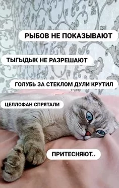 F3819abed60a1d456ae9c2fb9c74344e